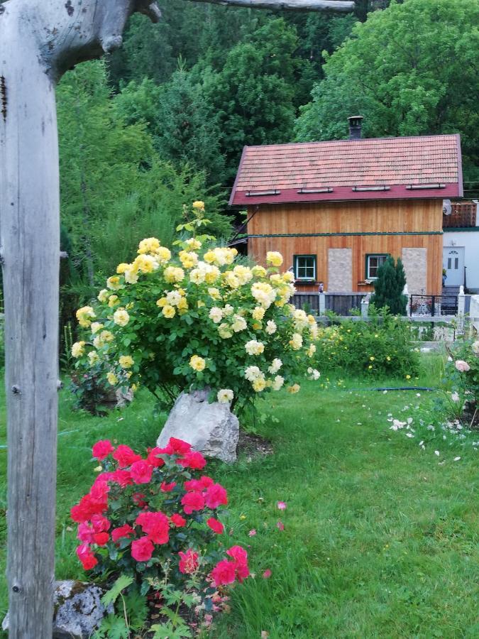 Villa Georges Rast à Altaussee Extérieur photo