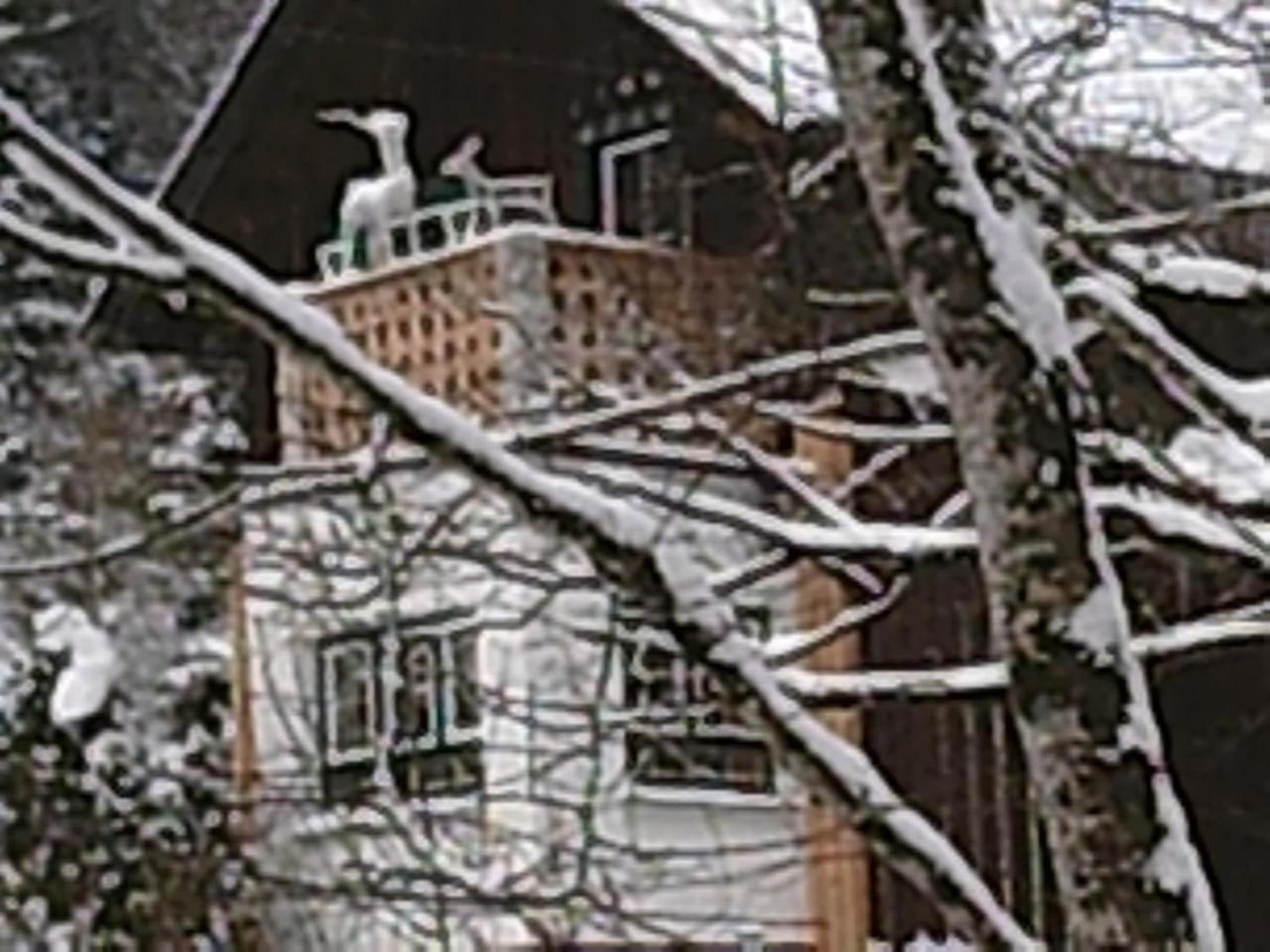 Villa Georges Rast à Altaussee Extérieur photo