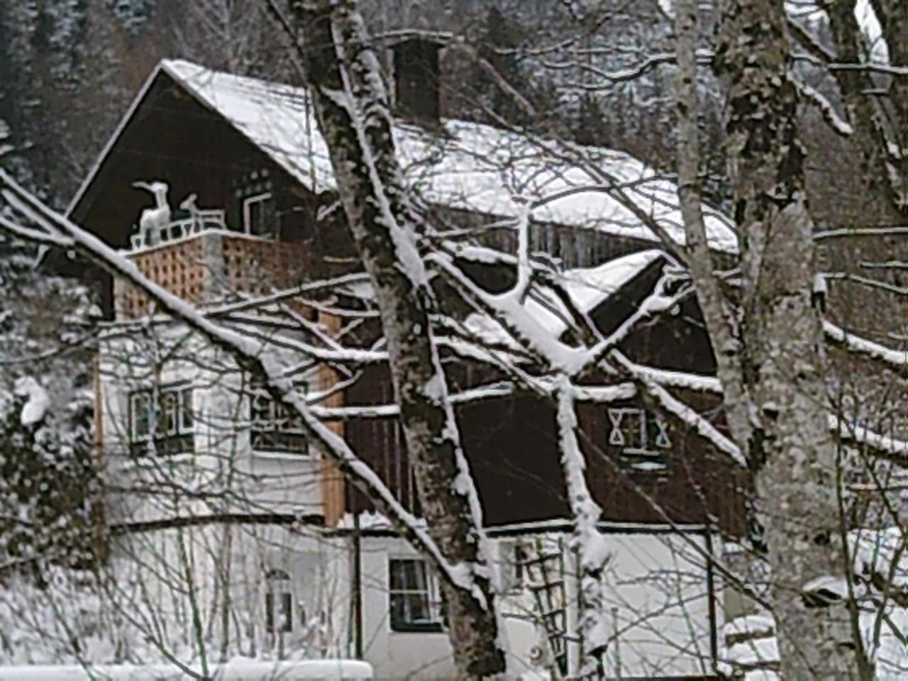 Villa Georges Rast à Altaussee Extérieur photo