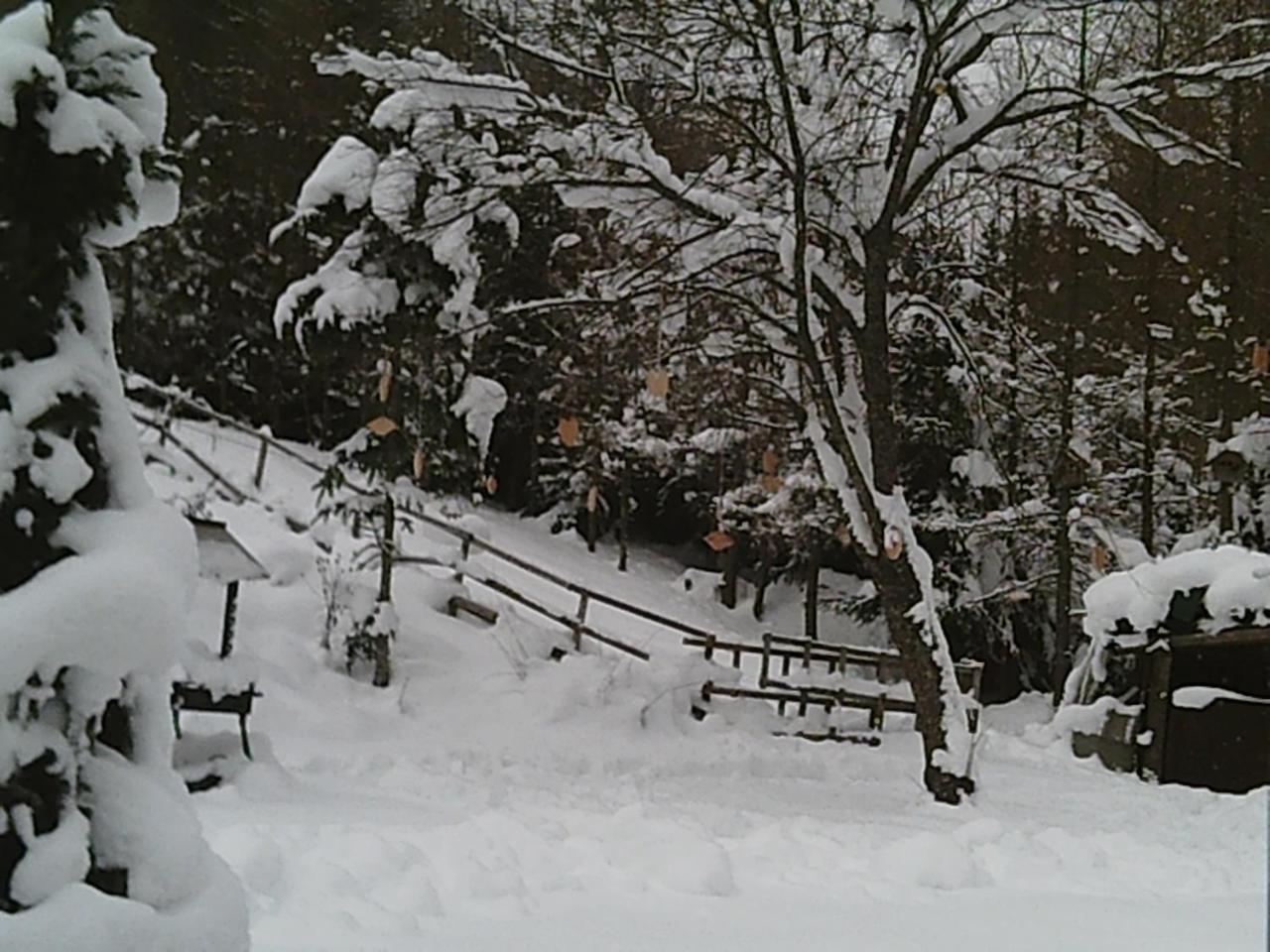 Villa Georges Rast à Altaussee Extérieur photo